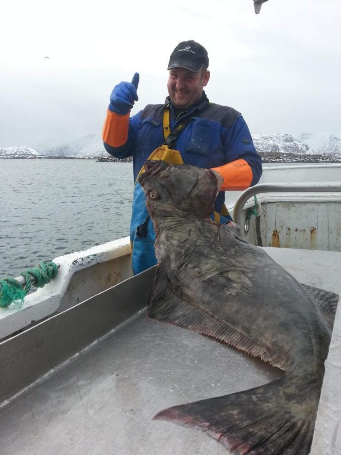 Fishermans Rorbu 1 - Lofoten รัมบาร์ก ภายนอก รูปภาพ