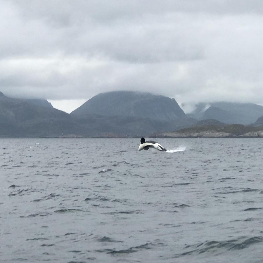 Fishermans Rorbu 1 - Lofoten รัมบาร์ก ภายนอก รูปภาพ